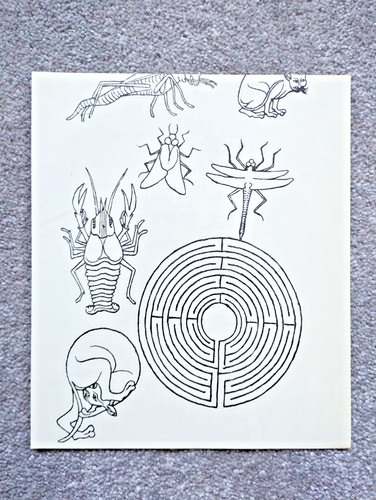 Sketches villard de - villard,